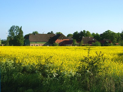 Gemeinde Fiefbergenmitten in der Probstei, nahe der Ostsee